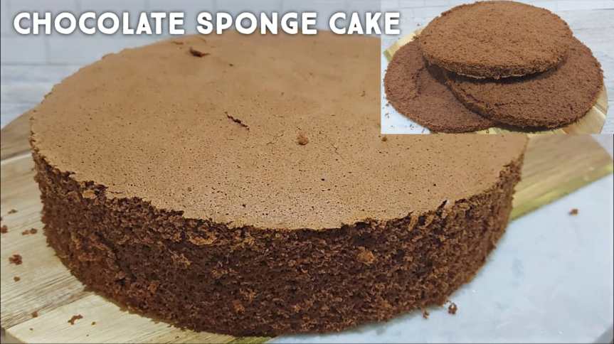 Chocolate Sponge Cake/ Basic Chocolate Sponge Cake Recipe